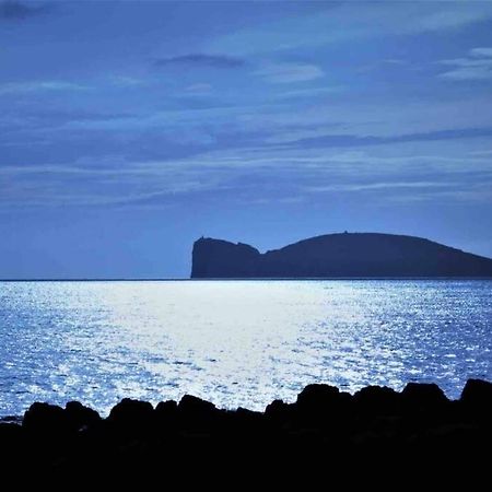 Alghero Sun & Sea - Spiaggia A 50 Metri エクステリア 写真