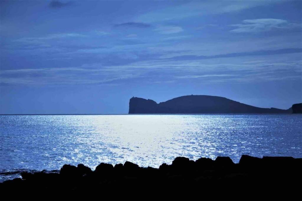 Alghero Sun & Sea - Spiaggia A 50 Metri エクステリア 写真